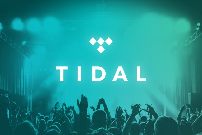 Tidal: Investasi Artis dan Masa Depan Platform